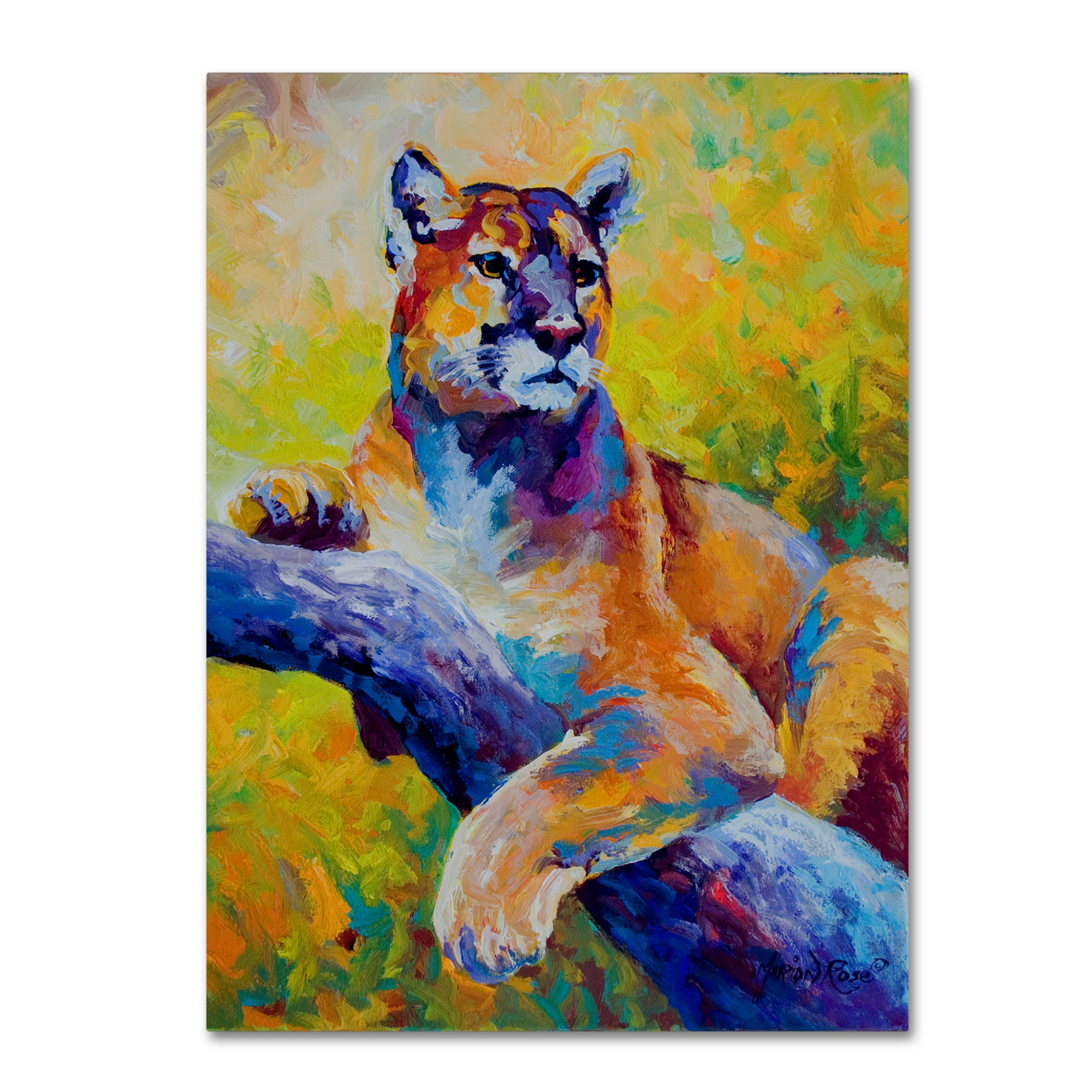 Marion Rose 'Cub' Ready To Hang Canvas Art 14 X 19 Inches Made In USA