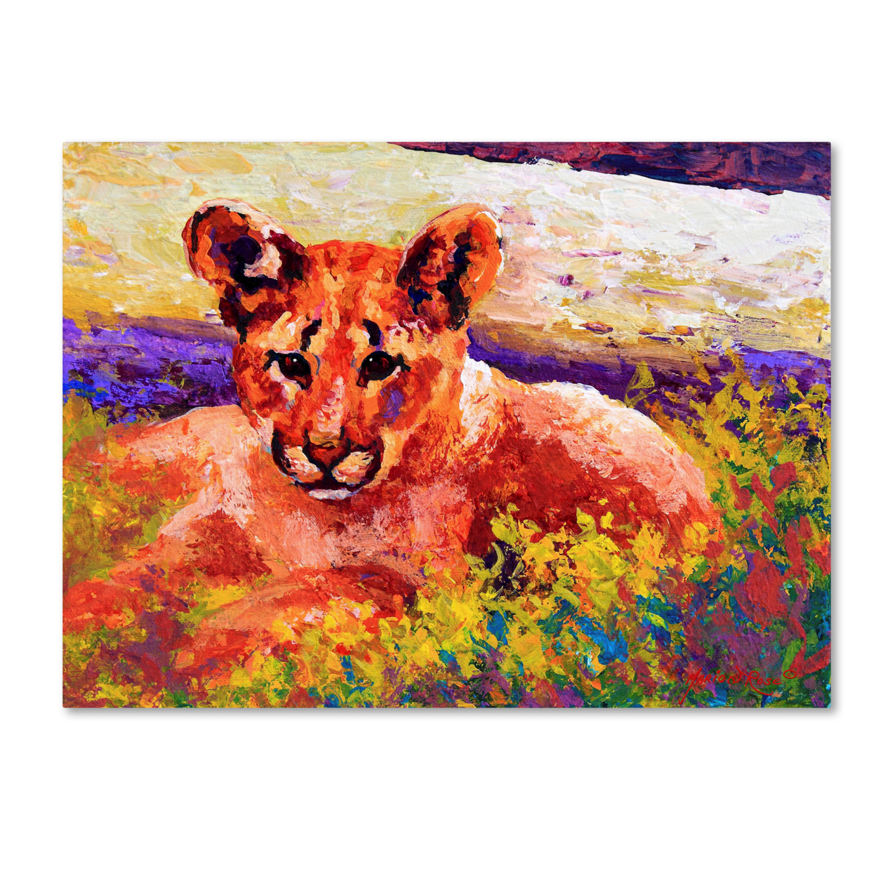 Marion Rose 'Cub I' Ready To Hang Canvas Art 14 X 19 Inches Made In USA