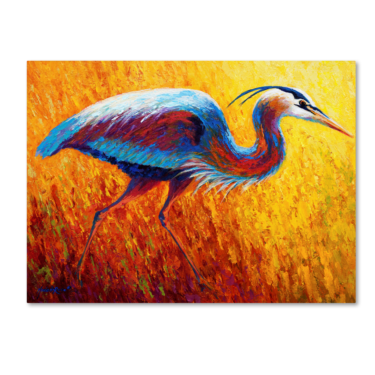 Marion Rose 'Daddy Long Legs II' Ready To Hang Canvas Art 14 X 19 Inches Made In USA