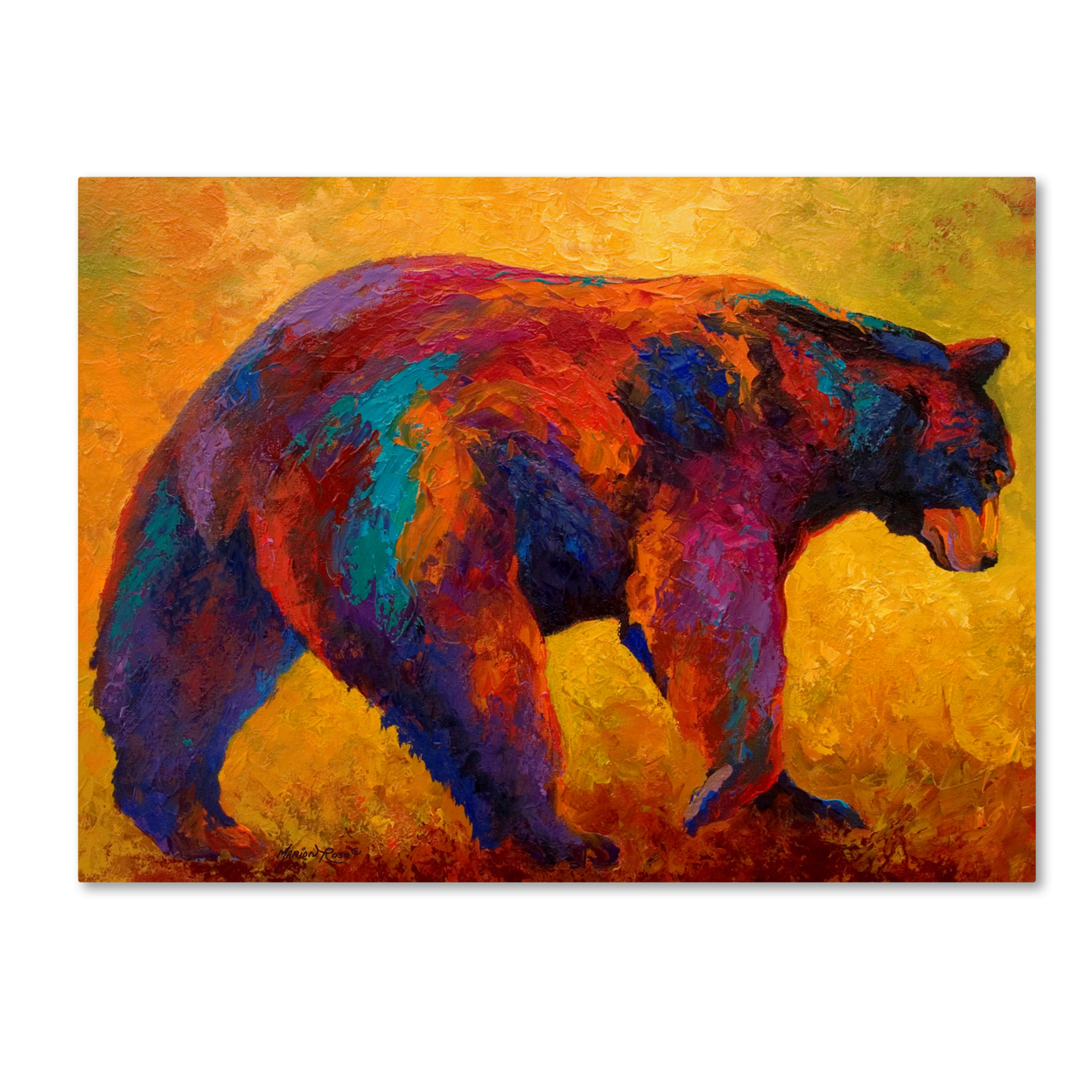 Marion Rose 'Daily Rounds Black Bear' Ready To Hang Canvas Art 14 X 19 Inches Made In USA