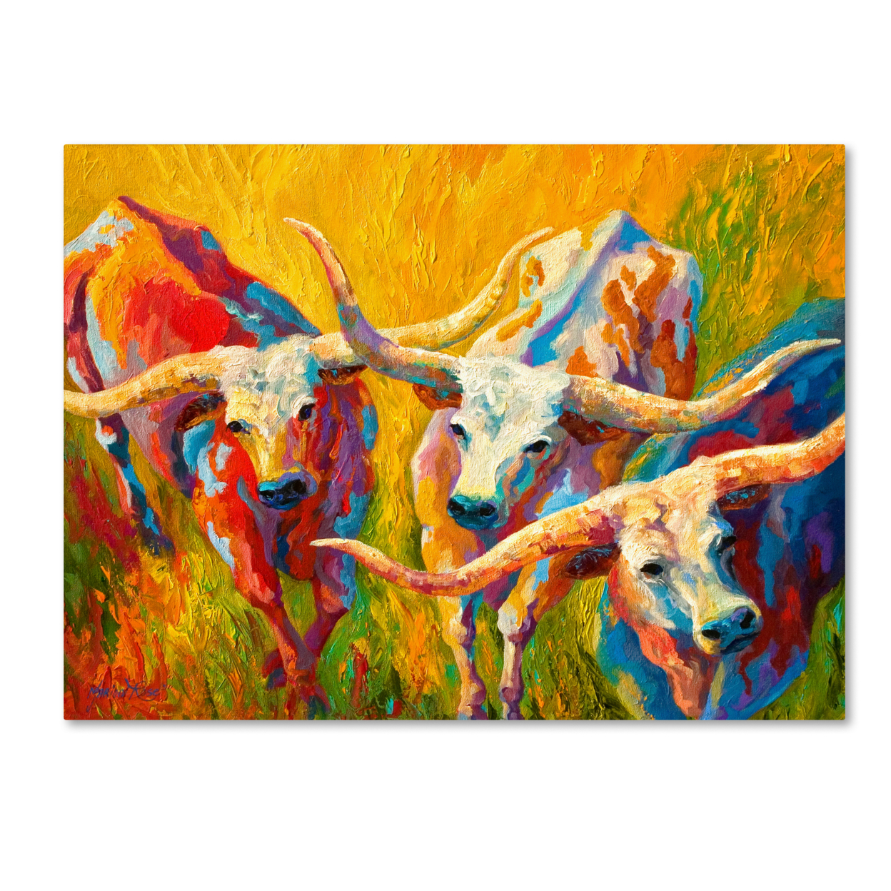 Marion Rose 'Dance Of The Longhorns' Ready To Hang Canvas Art 14 X 19 Inches Made In USA
