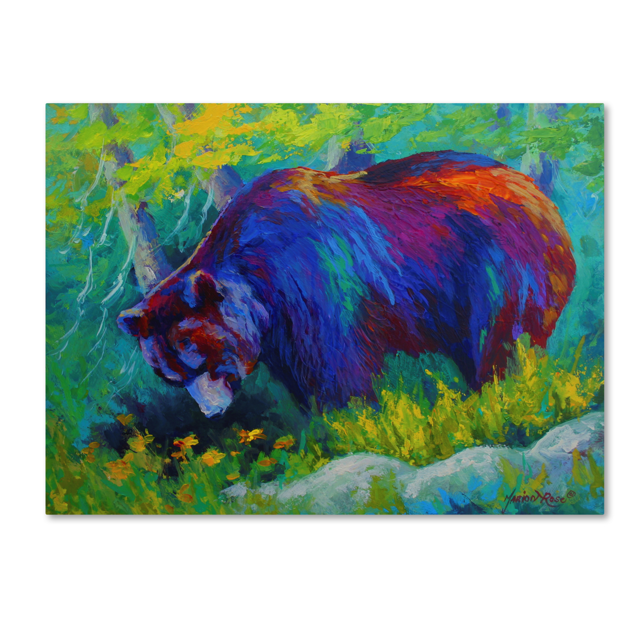 Marion Rose 'Dandelions For Dinner Grizz' Ready To Hang Canvas Art 14 X 19 Inches Made In USA