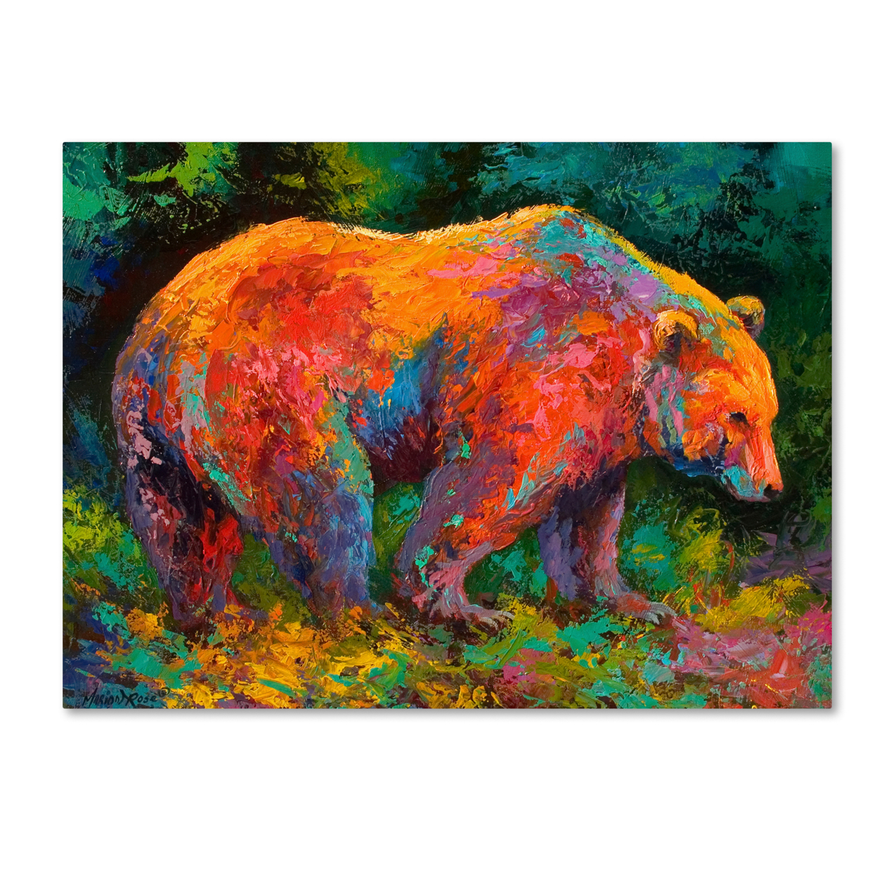 Marion Rose 'Deep Woods Grizz' Ready To Hang Canvas Art 14 X 19 Inches Made In USA