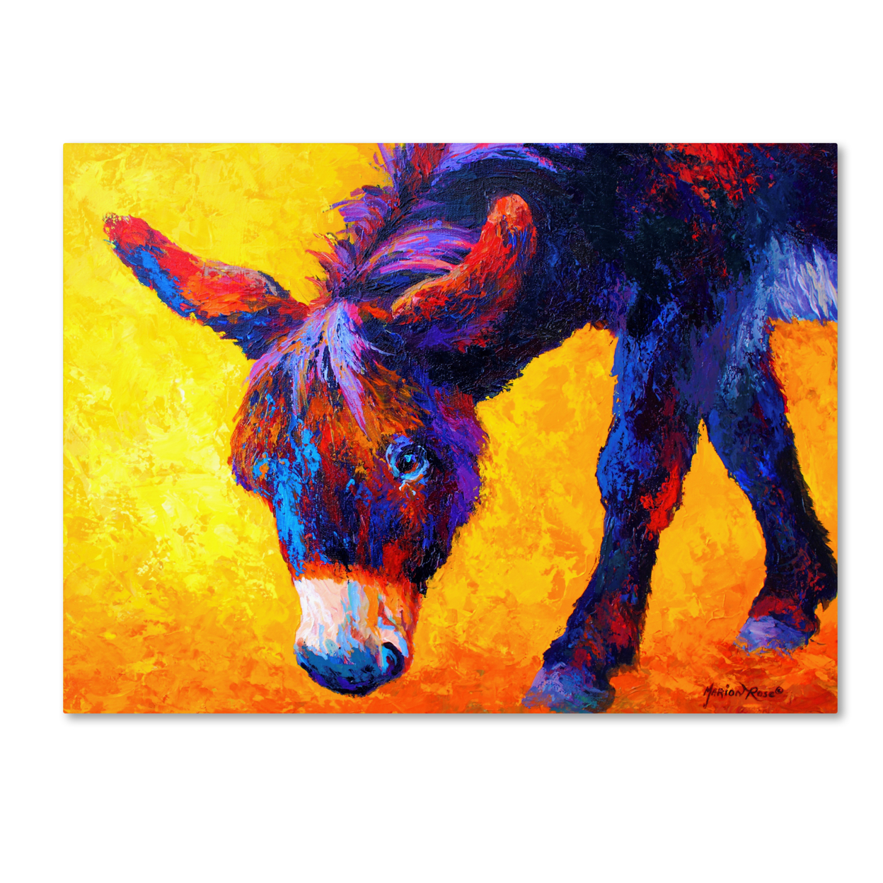 Marion Rose 'Donkey II' Ready To Hang Canvas Art 14 X 19 Inches Made In USA