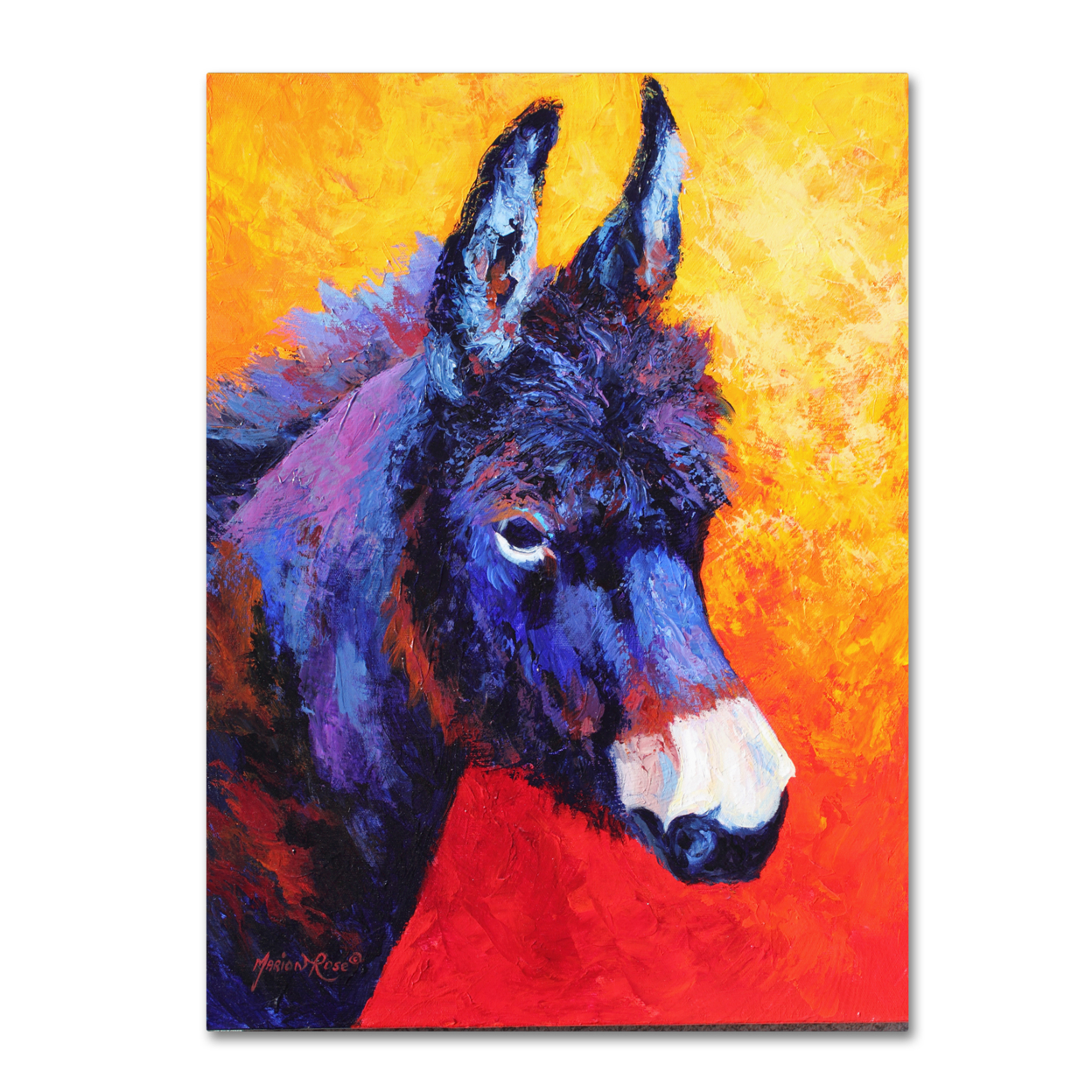Marion Rose 'Donkey IVX' Ready To Hang Canvas Art 14 X 19 Inches Made In USA