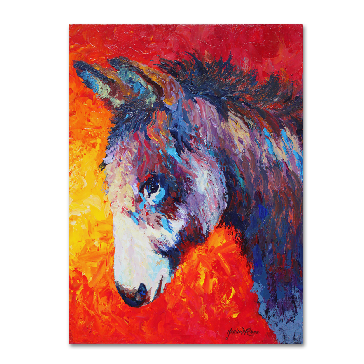 Marion Rose 'Donkey V' Ready To Hang Canvas Art 14 X 19 Inches Made In USA