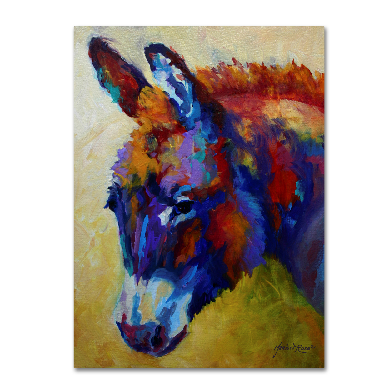 Marion Rose 'Donkey XIII' Ready To Hang Canvas Art 14 X 19 Inches Made In USA