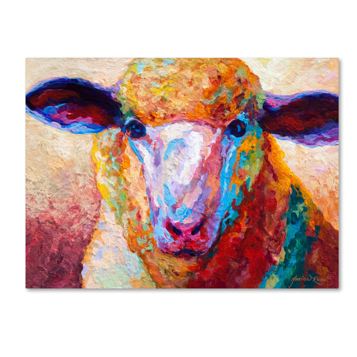 Marion Rose 'Dorset Ewe' Ready To Hang Canvas Art 14 X 19 Inches Made In USA