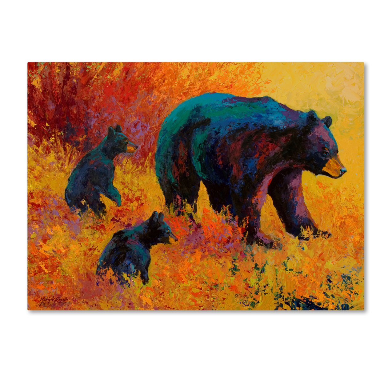 Marion Rose 'Double Trouble Black Bear' Ready To Hang Canvas Art 14 X 19 Inches Made In USA