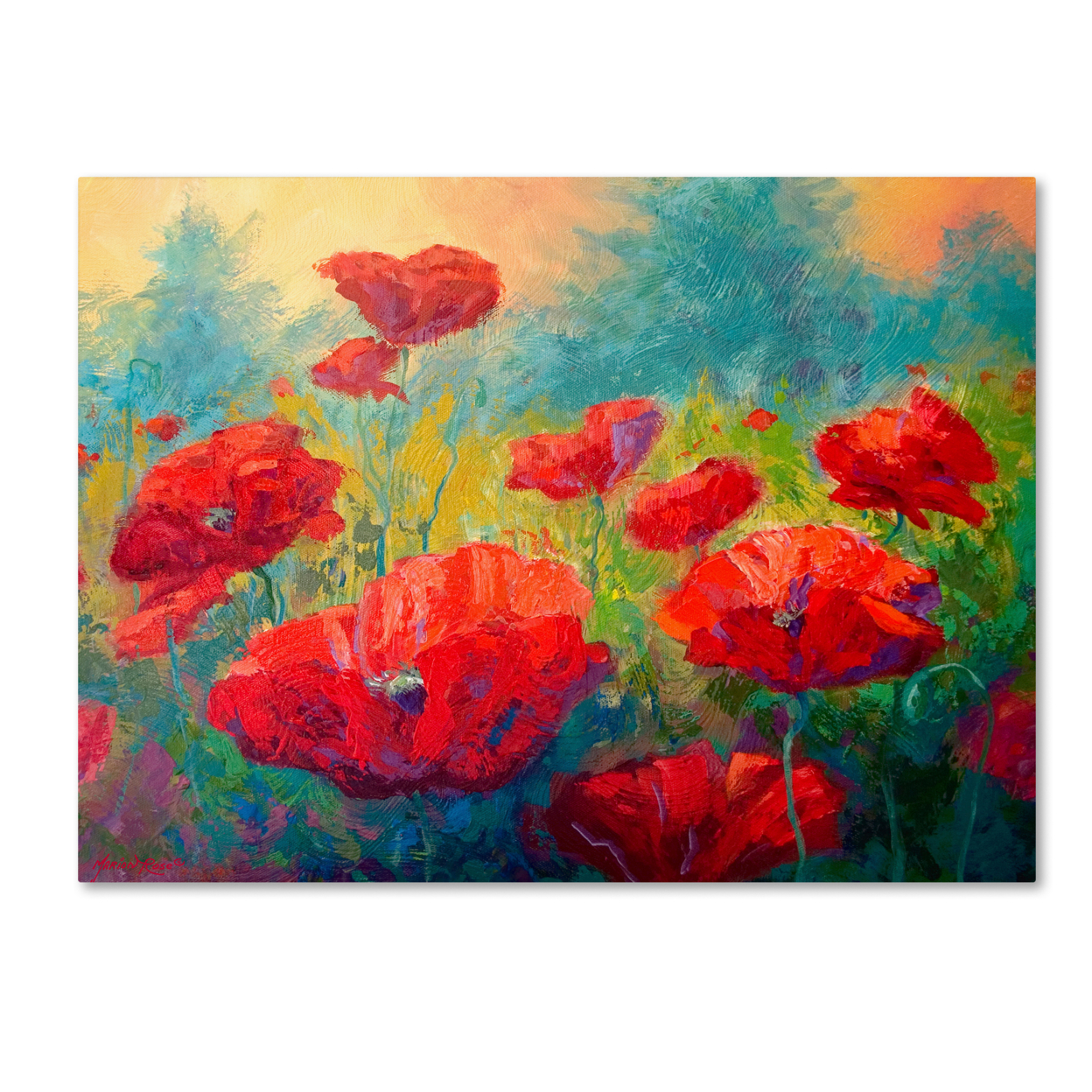 Marion Rose 'Field Of Poppies' Ready To Hang Canvas Art 14 X 19 Inches Made In USA