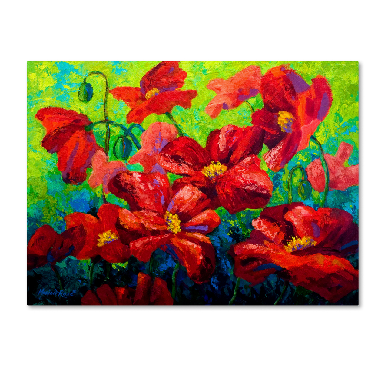 Marion Rose 'Field Of Poppies A' Ready To Hang Canvas Art 14 X 19 Inches Made In USA