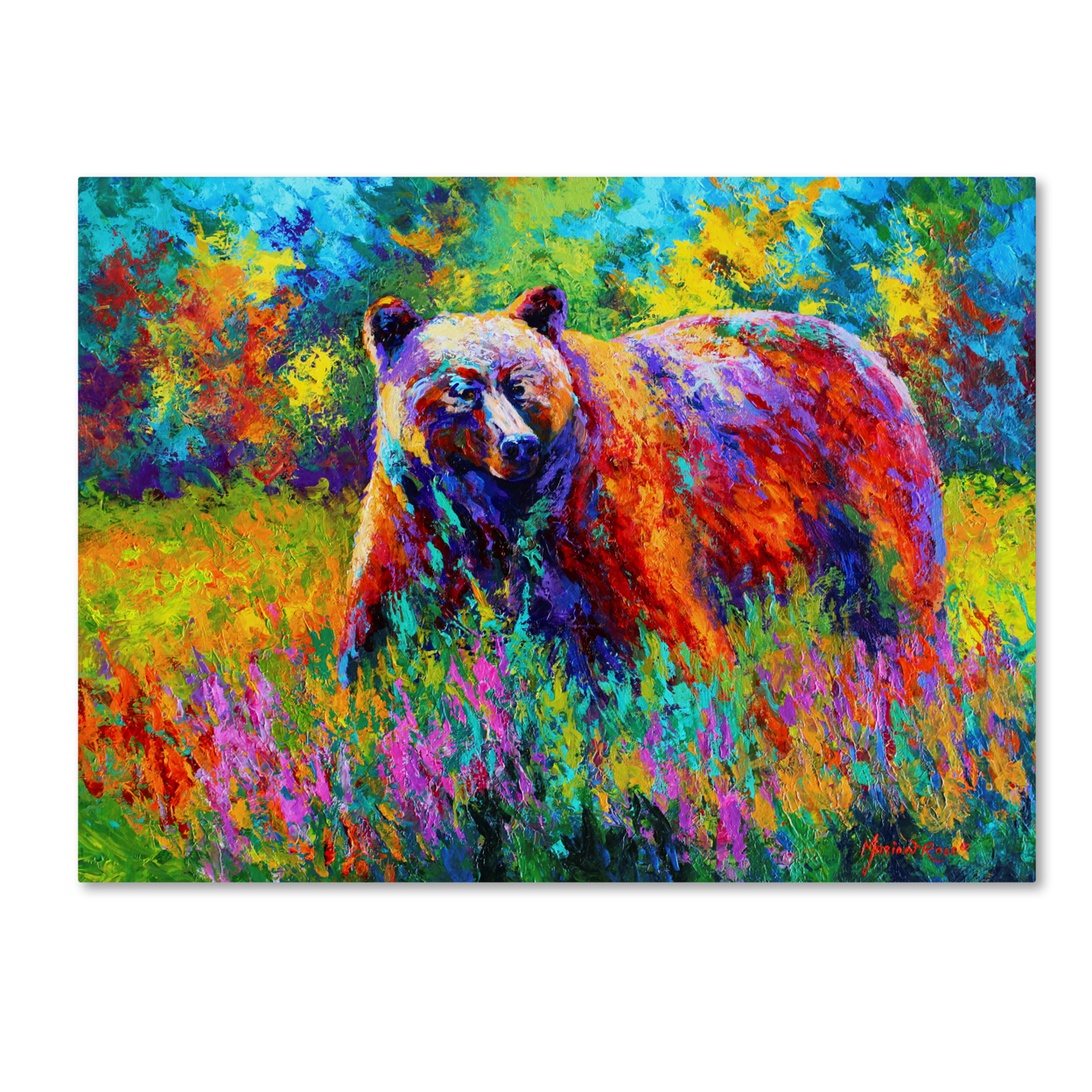Marion Rose 'Grizz On Guard' Ready To Hang Canvas Art 14 X 19 Inches Made In USA