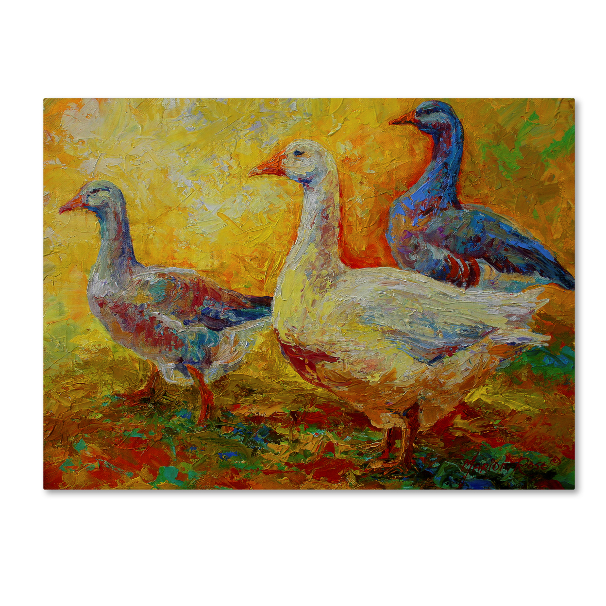 Marion Rose 'Gaggle Of 1' Ready To Hang Canvas Art 14 X 19 Inches Made In USA