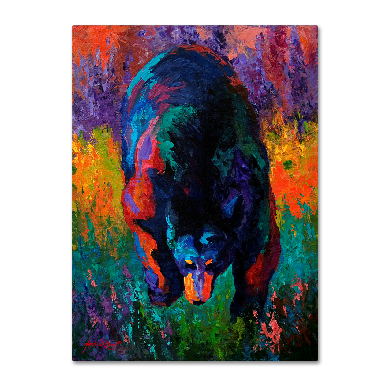 Marion Rose 'Grounded Black Bear' Ready To Hang Canvas Art 14 X 19 Inches Made In USA