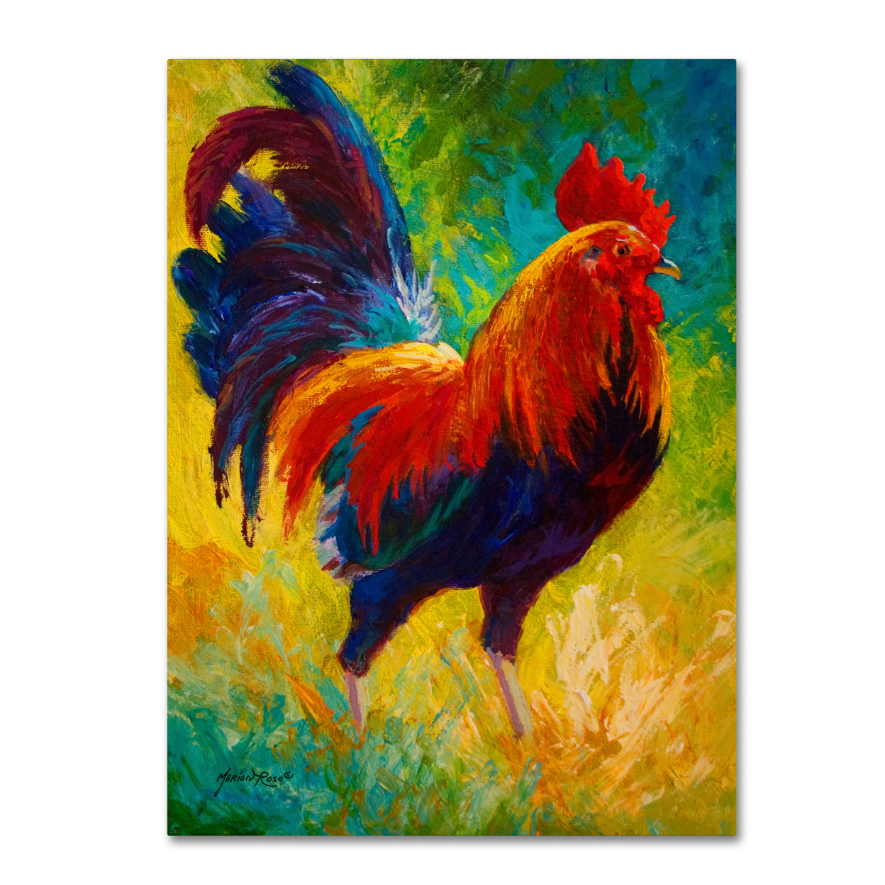 Marion Rose 'Hot Shot Rooster' Ready To Hang Canvas Art 14 X 19 Inches Made In USA