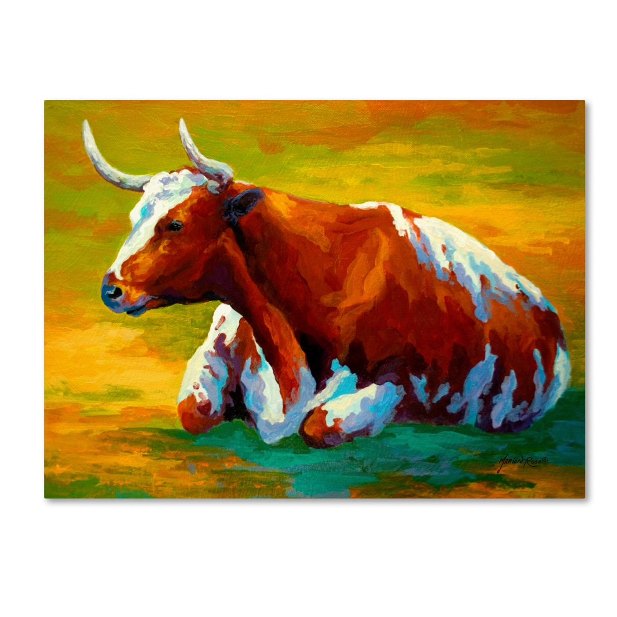 Marion Rose 'Longhorn Cow' Ready To Hang Canvas Art 14 X 19 Inches Made In USA