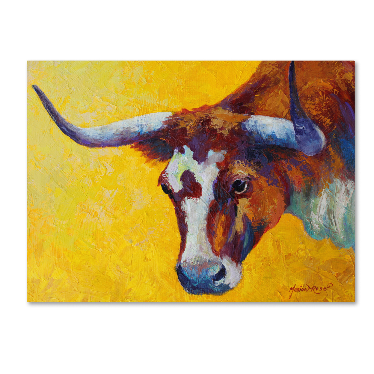Marion Rose 'Longhorn Cow Study' Ready To Hang Canvas Art 14 X 19 Inches Made In USA