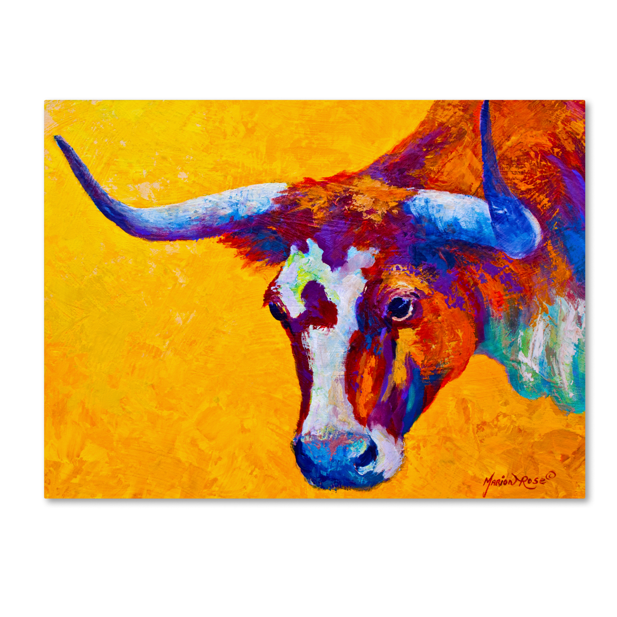 Marion Rose 'Longhorn Portrait' Ready To Hang Canvas Art 14 X 19 Inches Made In USA
