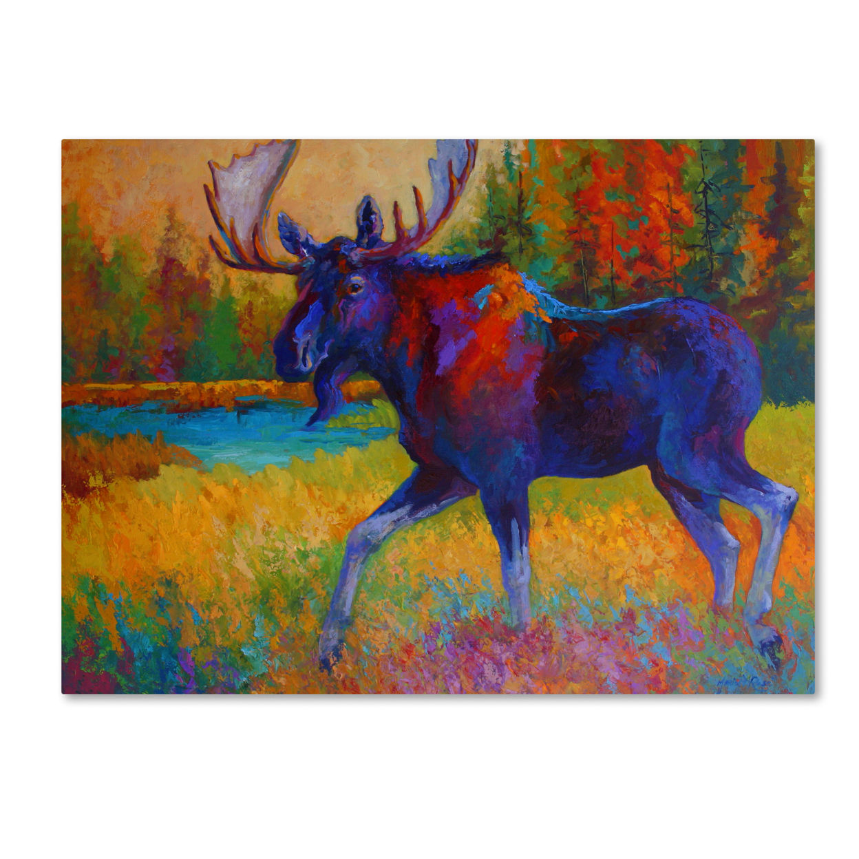Marion Rose 'Majestic Moose' Ready To Hang Canvas Art 14 X 19 Inches Made In USA