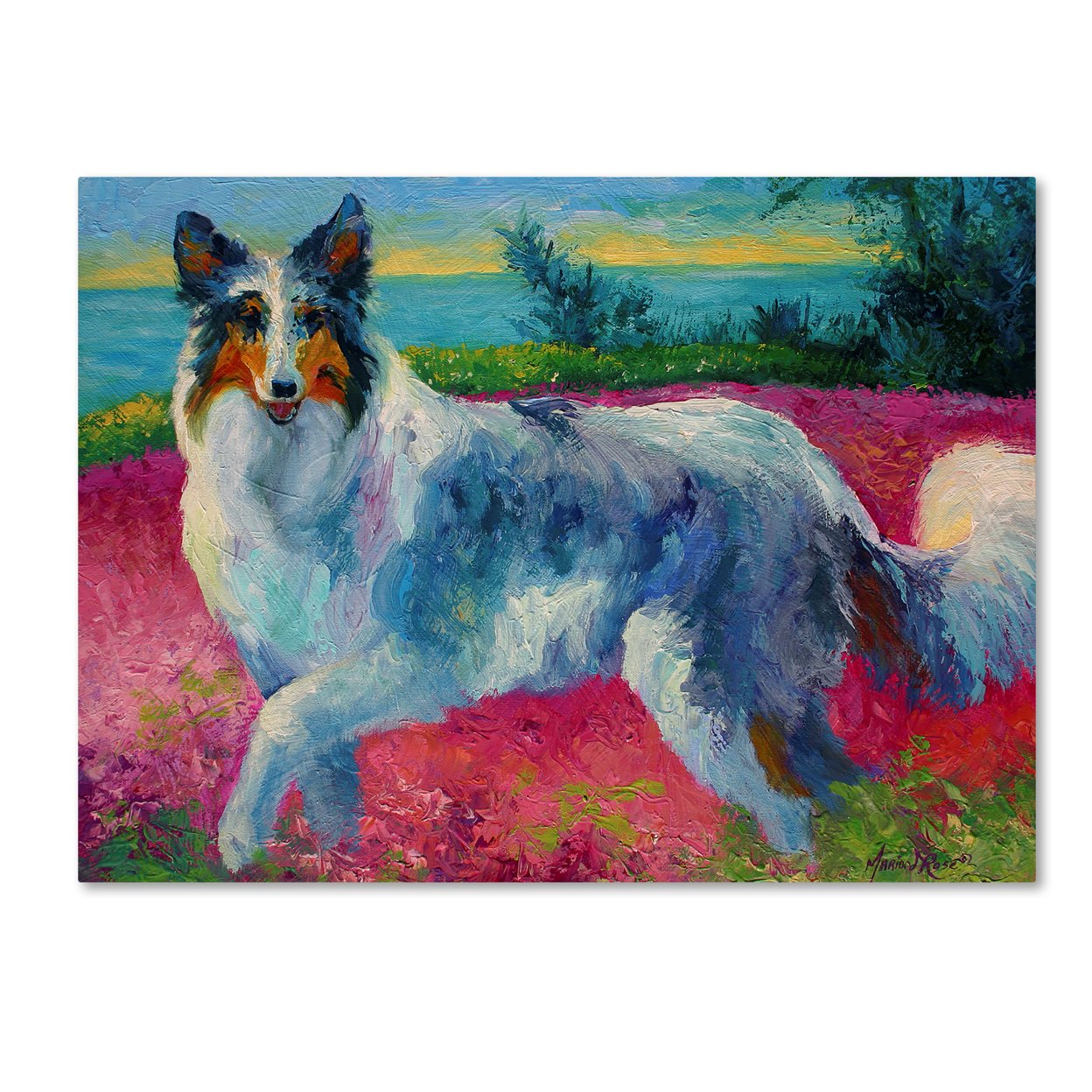 Marion Rose 'Mony Collie' Ready To Hang Canvas Art 14 X 19 Inches Made In USA