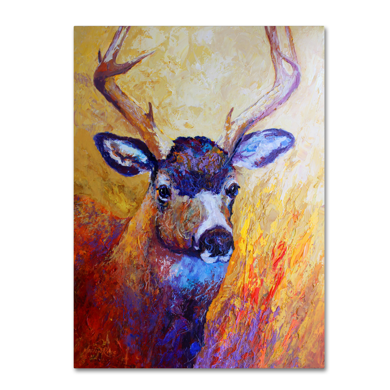 Marion Rose 'Mule Deer Buck' Ready To Hang Canvas Art 14 X 19 Inches Made In USA