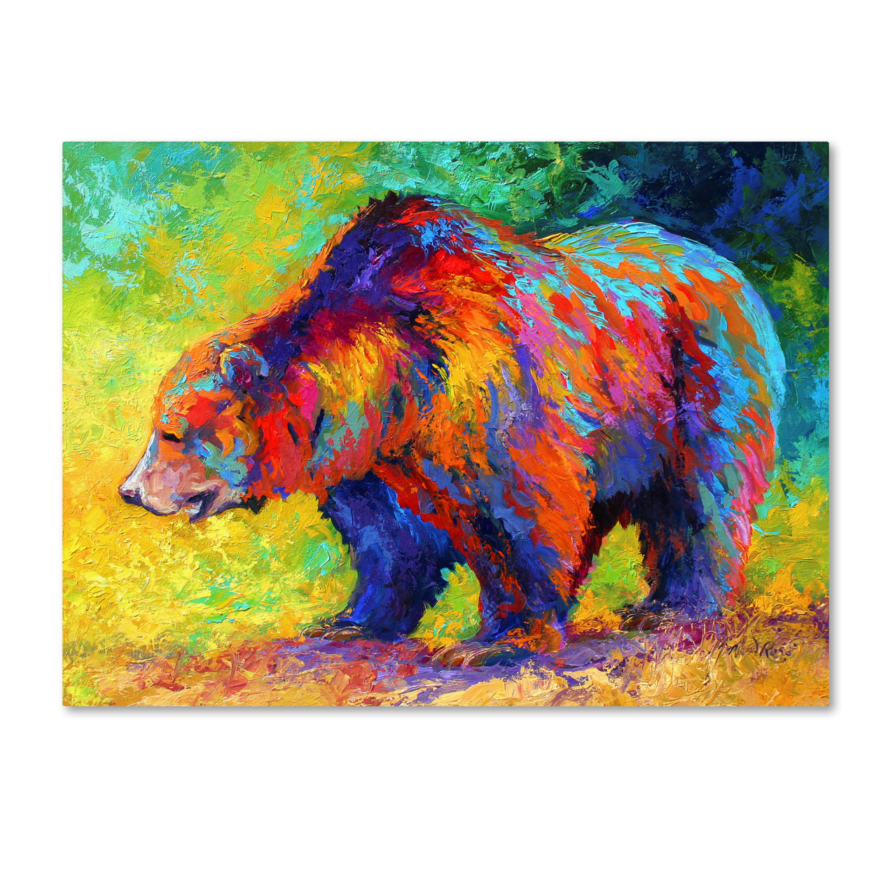 Marion Rose 'New Grizz' Ready To Hang Canvas Art 14 X 19 Inches Made In USA