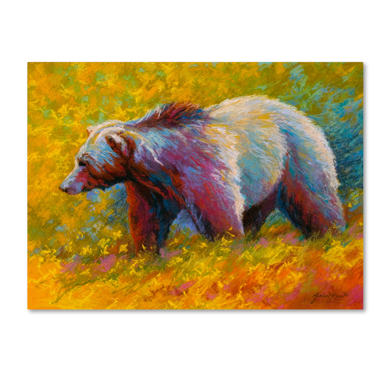 Marion Rose 'Pastel Grizz' Ready To Hang Canvas Art 14 X 19 Inches Made In USA
