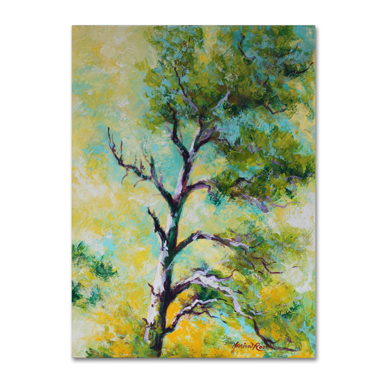 Marion Rose 'Pine Abstract' Ready To Hang Canvas Art 14 X 19 Inches Made In USA