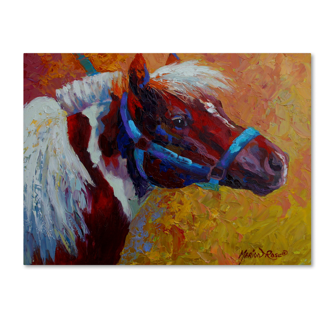 Marion Rose 'Pony Boy 1' Ready To Hang Canvas Art 14 X 19 Inches Made In USA