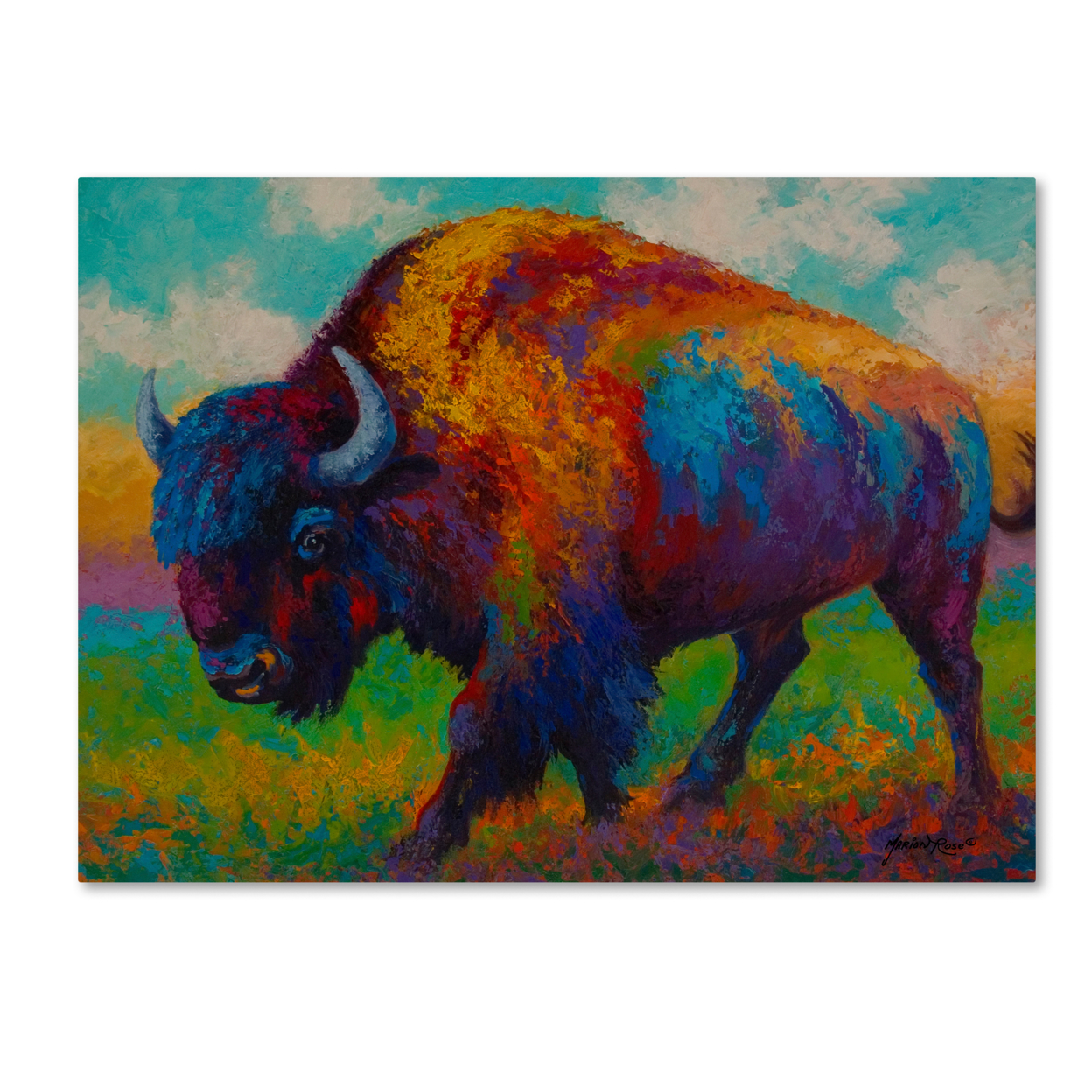 Marion Rose 'Prairie Muse' Ready To Hang Canvas Art 14 X 19 Inches Made In USA