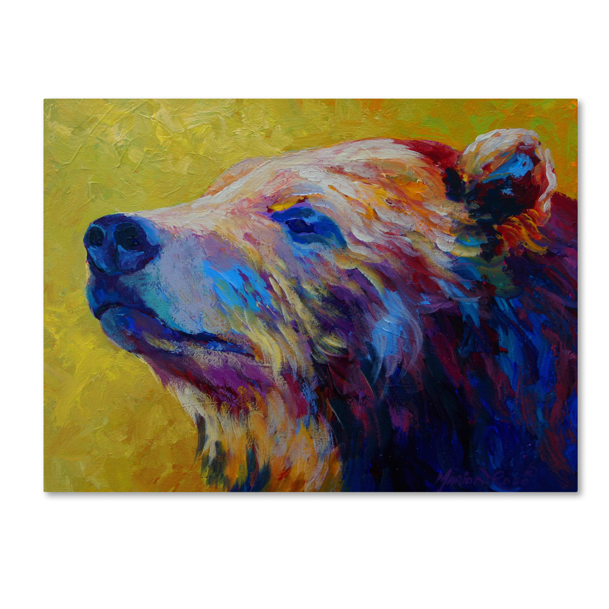 Marion Rose 'Pretty Boy Grizz' Ready To Hang Canvas Art 14 X 19 Inches Made In USA