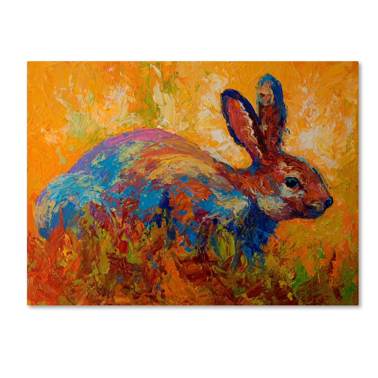 Marion Rose 'Rabbit II' Ready To Hang Canvas Art 14 X 19 Inches Made In USA