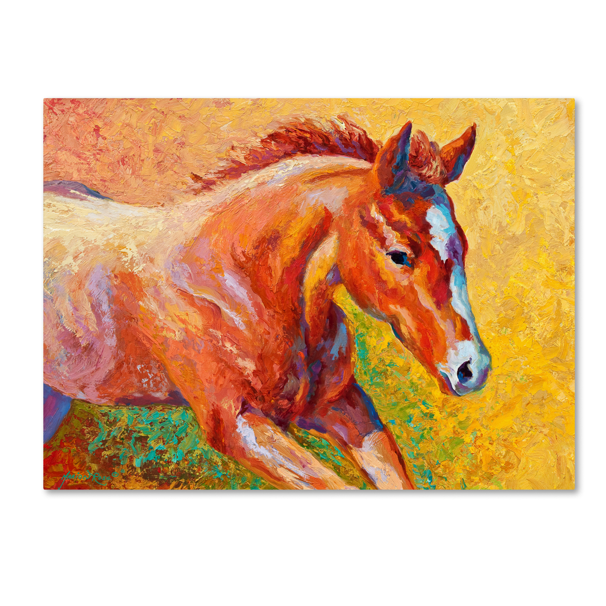 Marion Rose 'Sorrel Filly ' Ready To Hang Canvas Art 14 X 19 Inches Made In USA