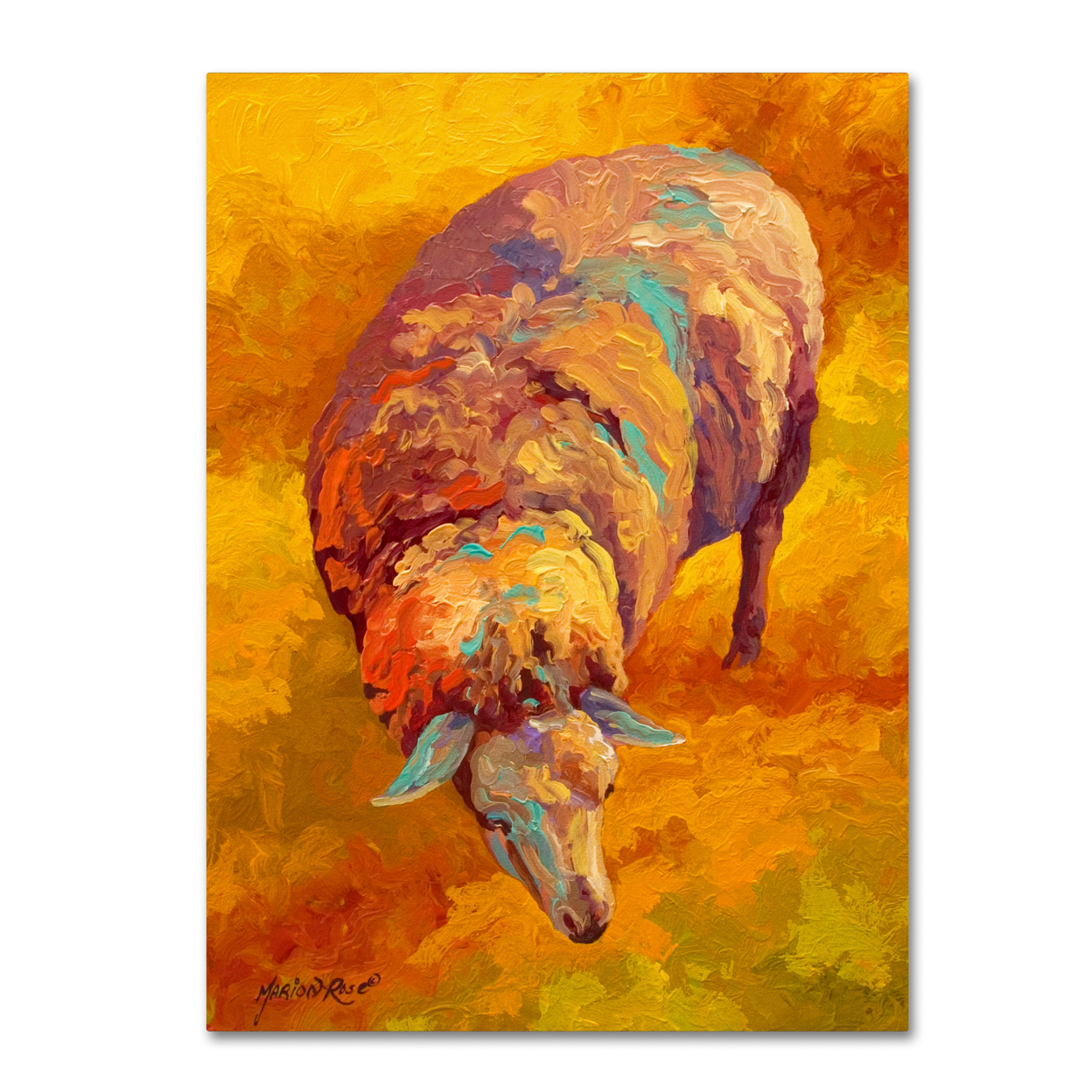 Marion Rose 'Sheep' Ready To Hang Canvas Art 14 X 19 Inches Made In USA