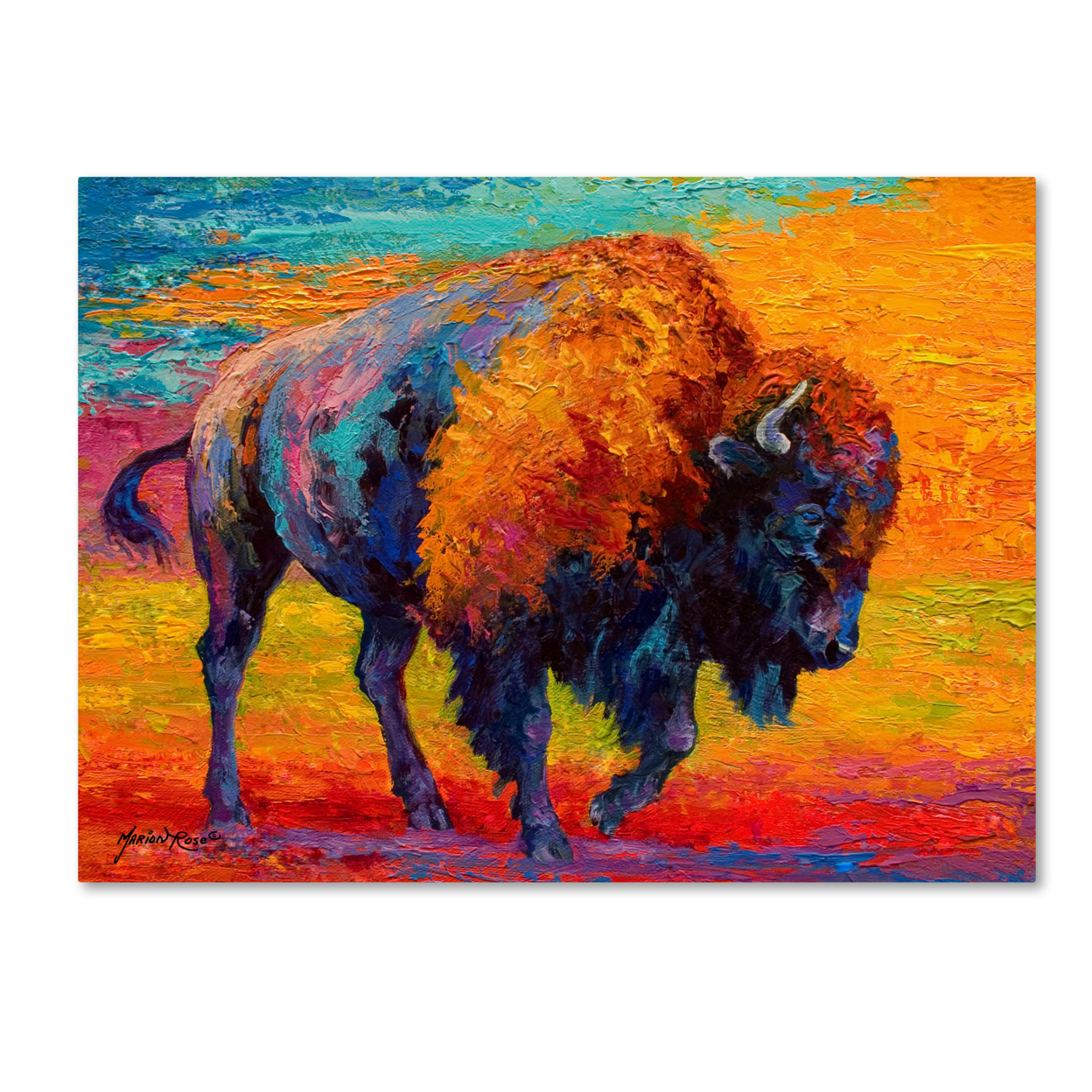 Marion Rose 'Spirit Of The Prairie' Ready To Hang Canvas Art 14 X 19 Inches Made In USA