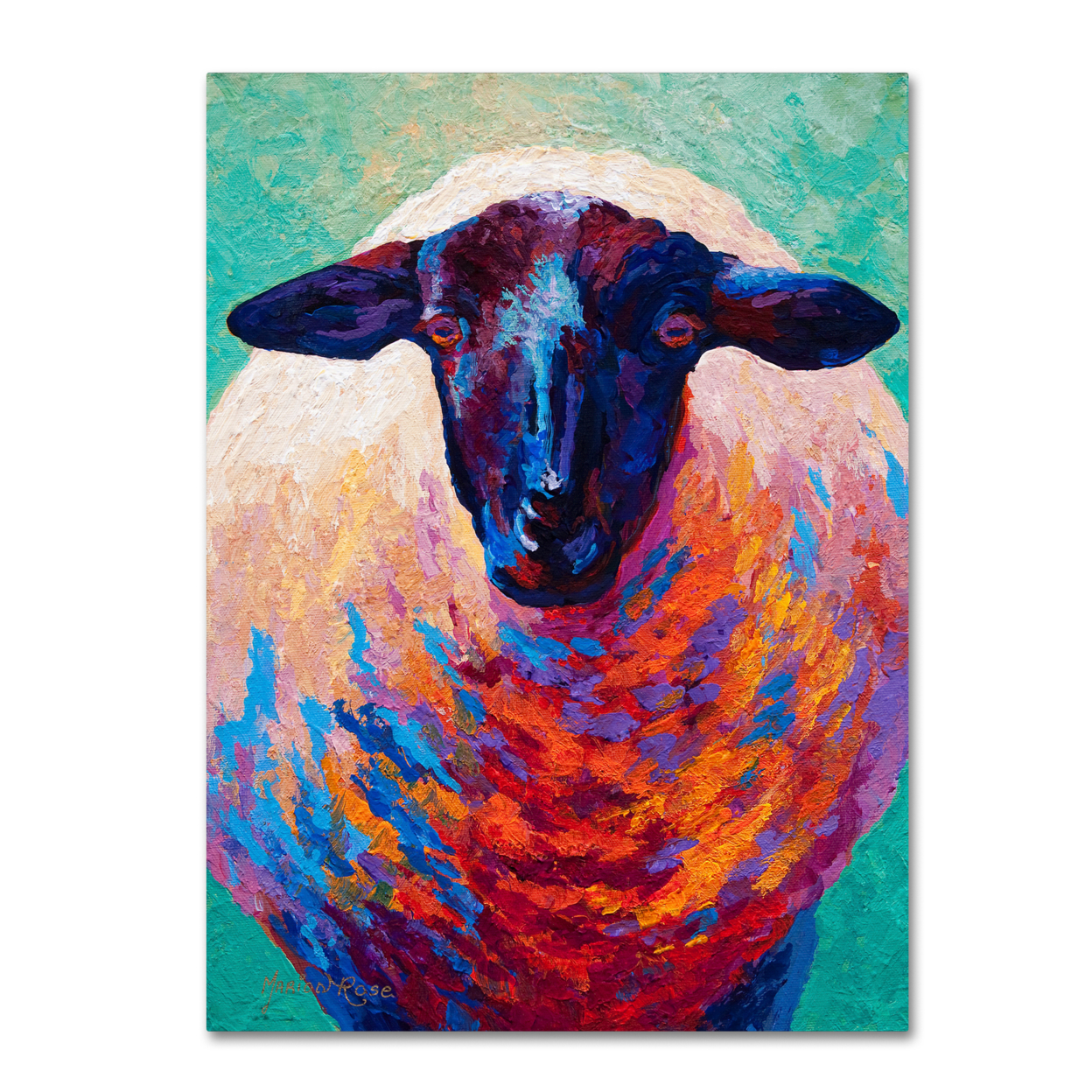 Marion Rose 'Suffolk Ewe 4' Ready To Hang Canvas Art 14 X 19 Inches Made In USA