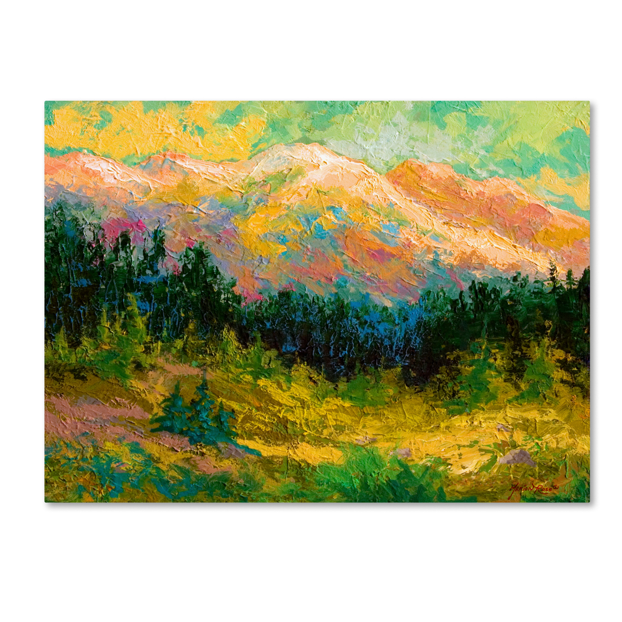 Marion Rose 'Summer High Country' Ready To Hang Canvas Art 14 X 19 Inches Made In USA
