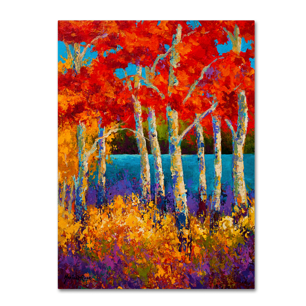 Marion Rose 'Summers End' Ready To Hang Canvas Art 14 X 19 Inches Made In USA
