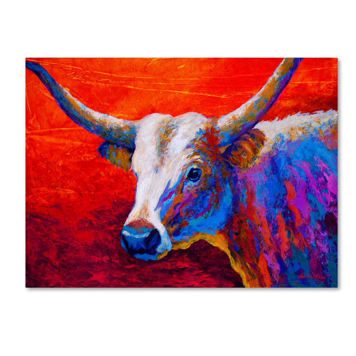 Marion Rose 'Sunset Ablaze Longhorn' Ready To Hang Canvas Art 14 X 19 Inches Made In USA