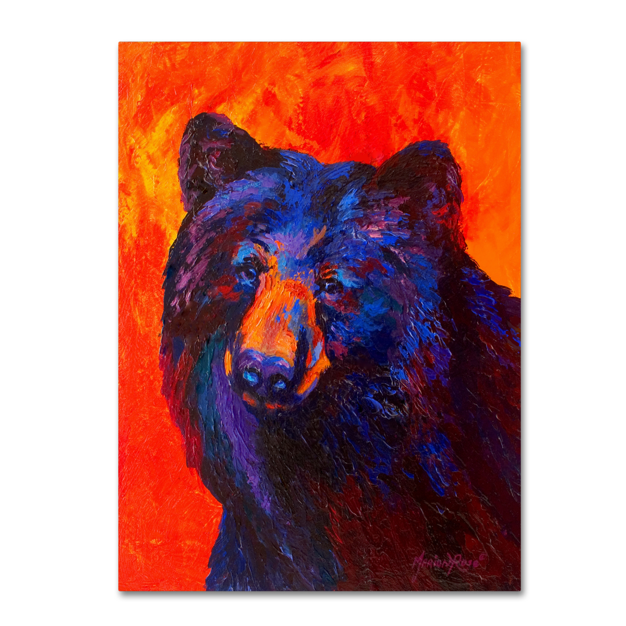 Marion Rose 'Thoughtful Black Bear' Ready To Hang Canvas Art 14 X 19 Inches Made In USA
