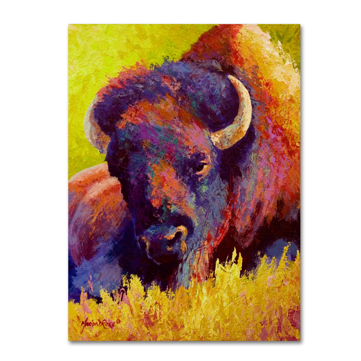 Marion Rose 'Timeless Spirit Bison' Ready To Hang Canvas Art 14 X 19 Inches Made In USA
