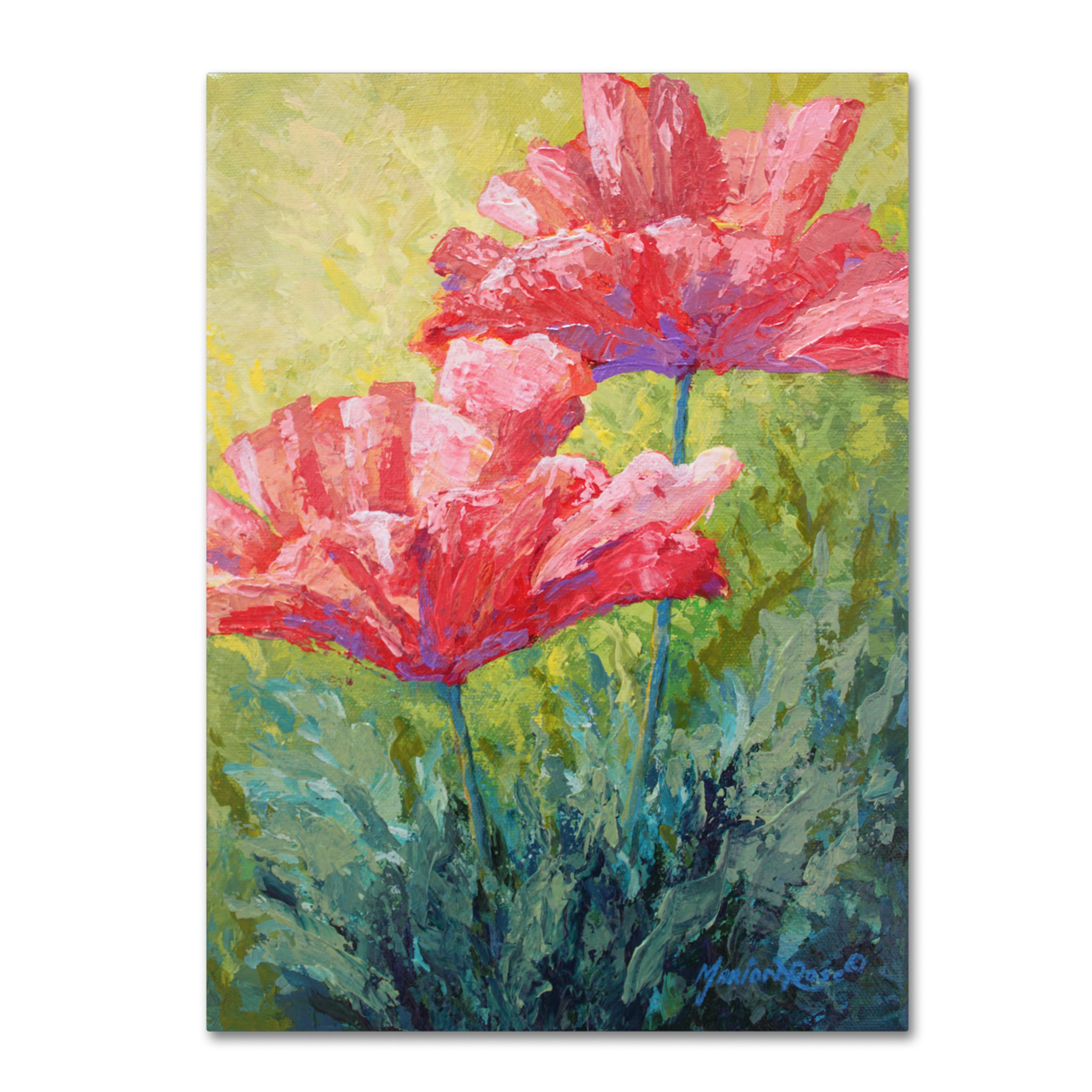 Marion Rose 'Two Red Poppies ' Ready To Hang Canvas Art 14 X 19 Inches Made In USA