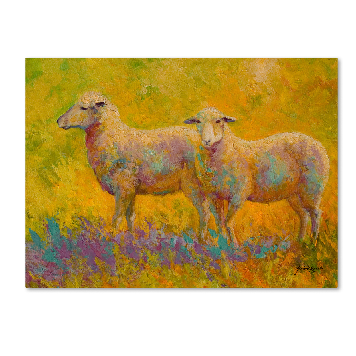 Marion Rose 'Warm Glow Sheep Pair' Ready To Hang Canvas Art 14 X 19 Inches Made In USA