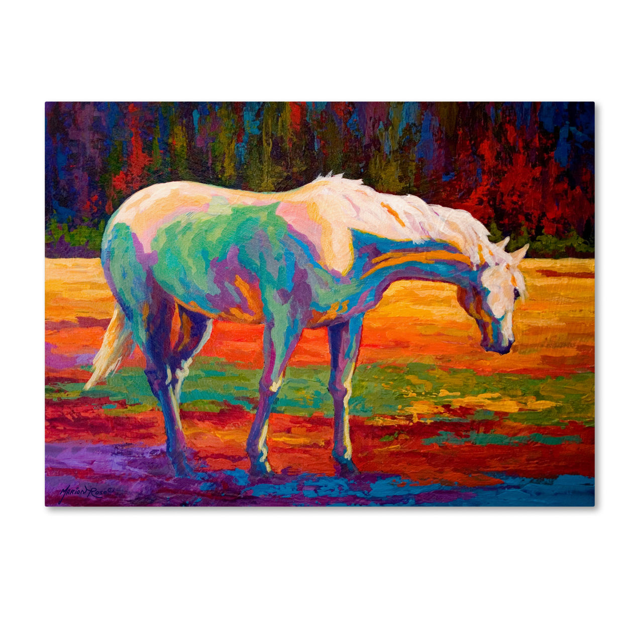 Marion Rose 'White MareII' Ready To Hang Canvas Art 14 X 19 Inches Made In USA