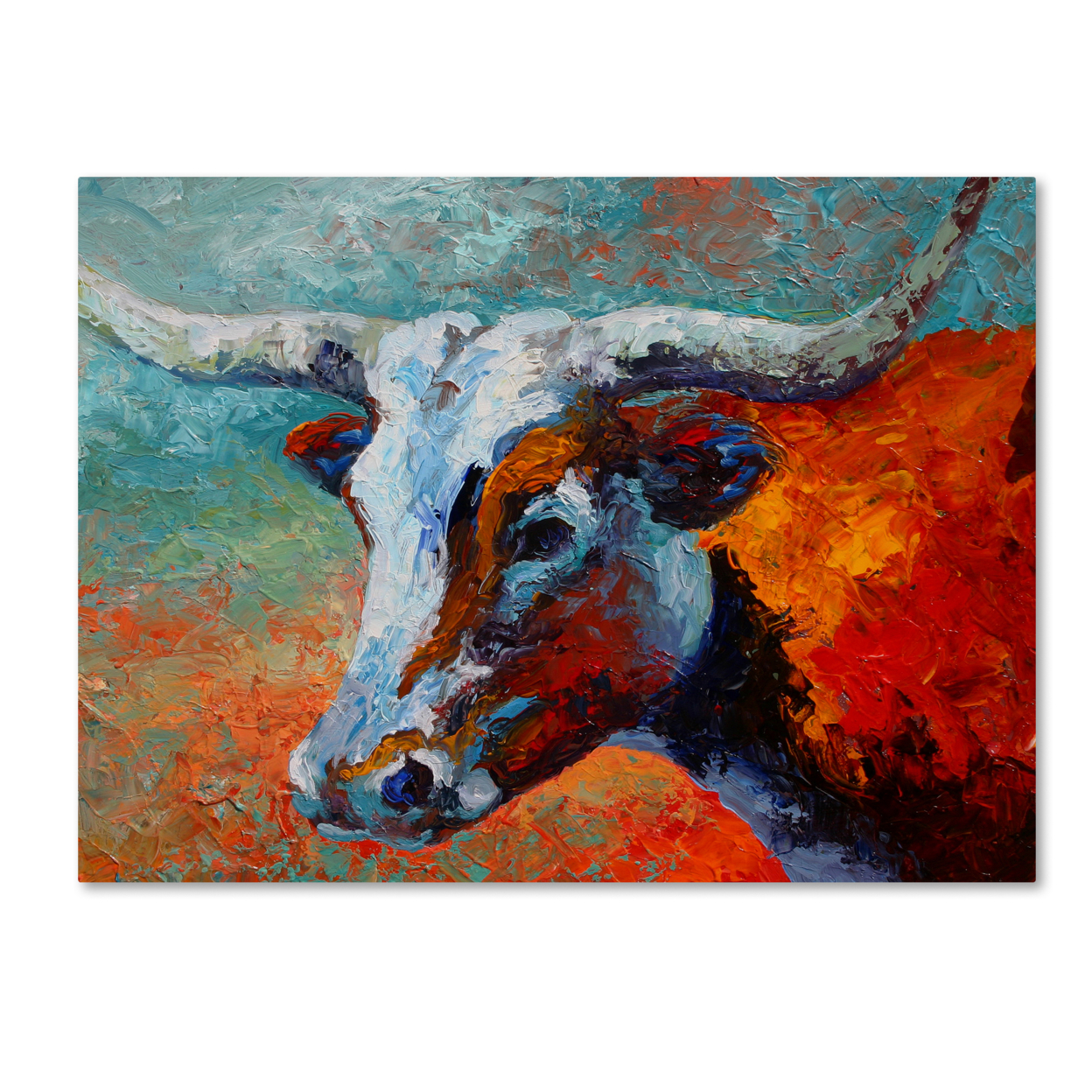 Marion Rose 'Young Longhorn' Ready To Hang Canvas Art 14 X 19 Inches Made In USA