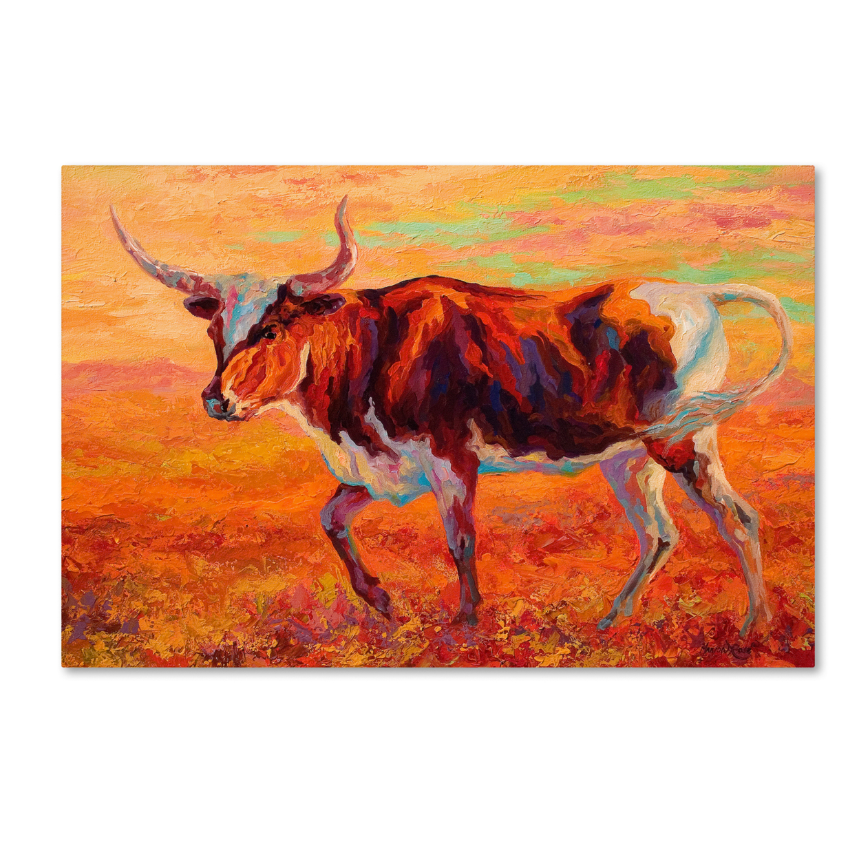 Marion Rose 'Longhorn Heifer' Ready To Hang Canvas Art 16 X 24 Inches Made In USA