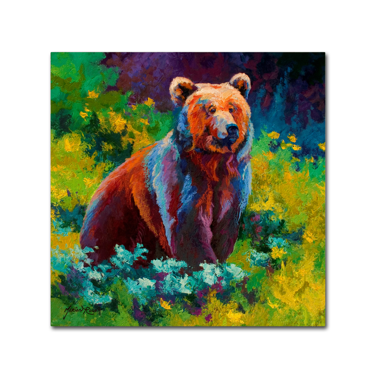 Marion Rose 'Wildflower Grizz' Ready To Hang Canvas Art 18 X 18 Inches Made In USA
