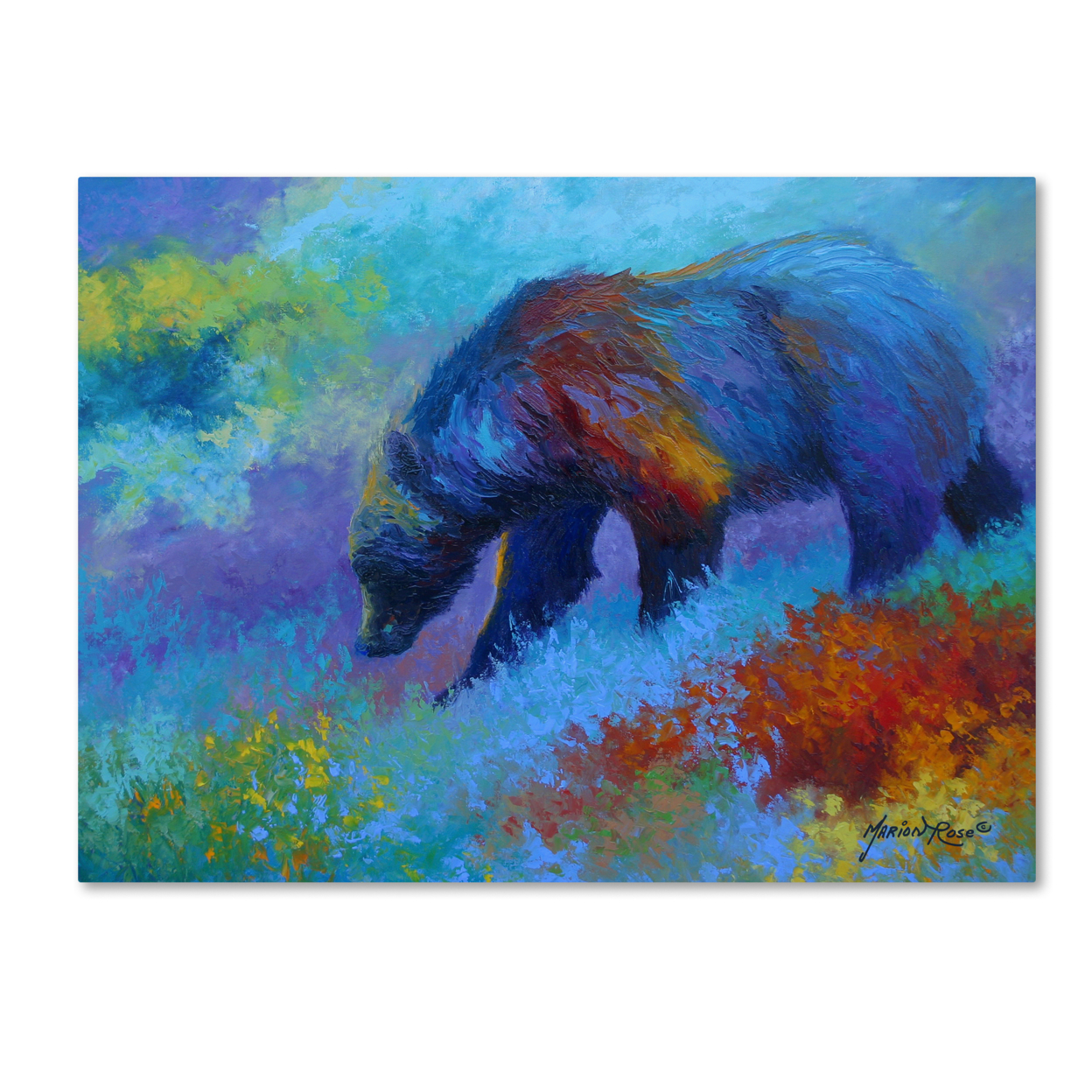 Marion Rose 'Denali Grizzly' Ready To Hang Canvas Art 18 X 24 Inches Made In USA