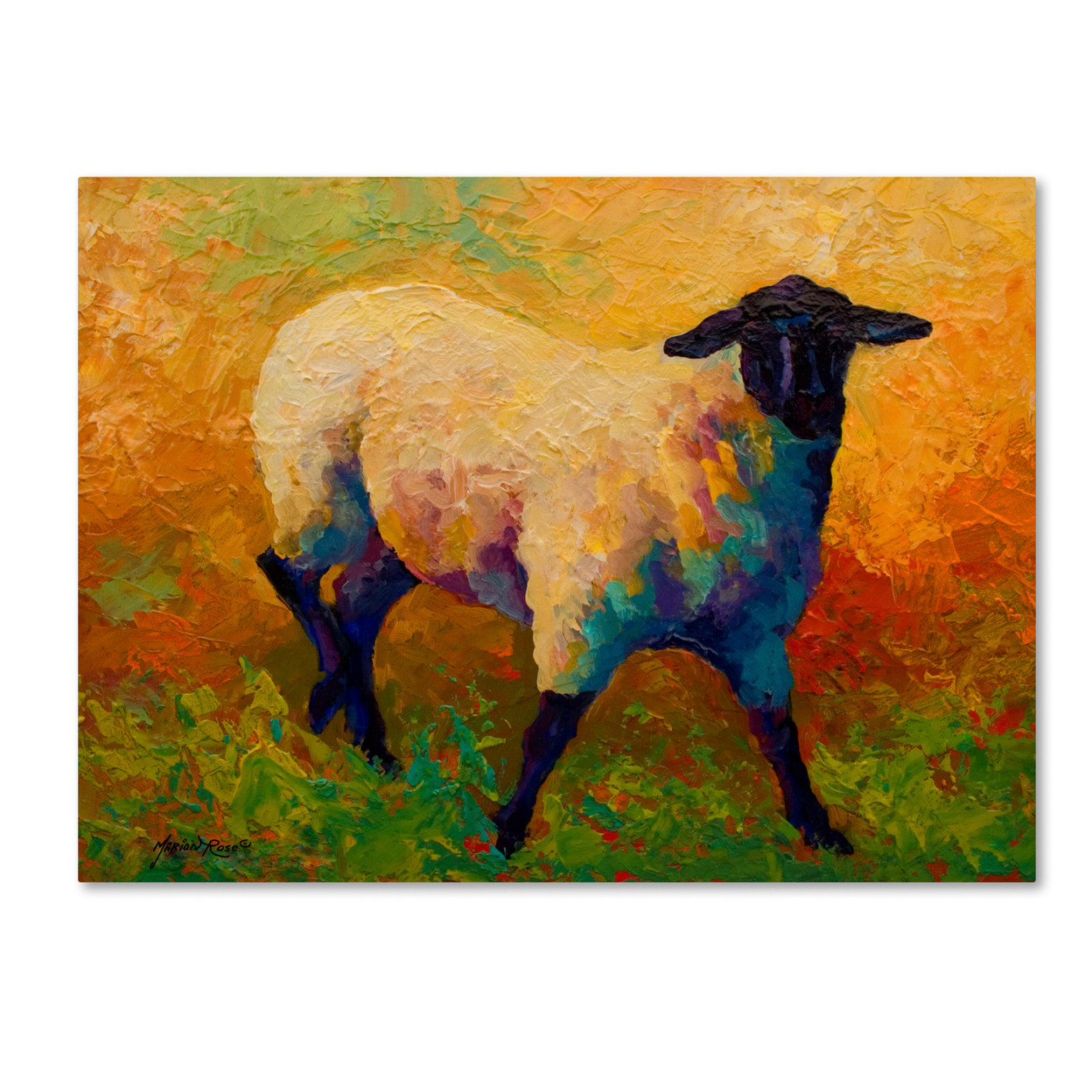Marion Rose 'Ewe Portrait IV' Ready To Hang Canvas Art 18 X 24 Inches Made In USA