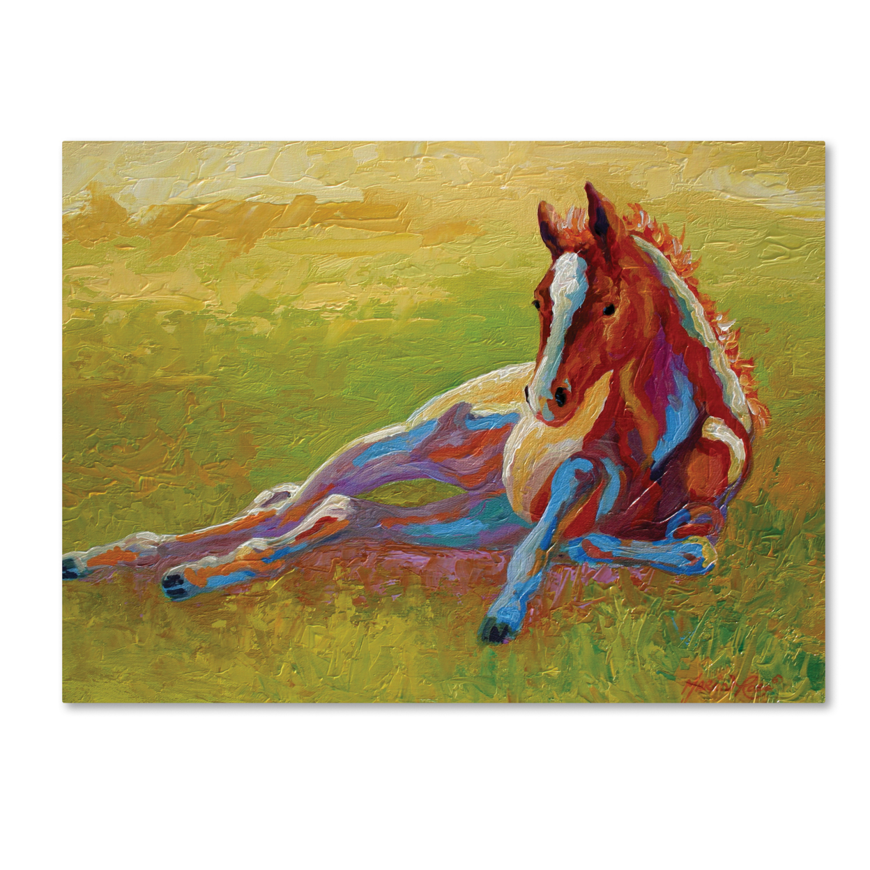 Marion Rose 'Foal Lying' Ready To Hang Canvas Art 18 X 24 Inches Made In USA